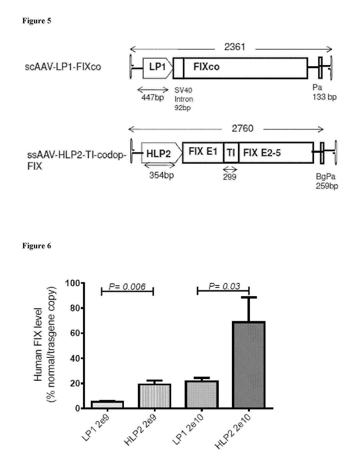 Factor ix gene therapy