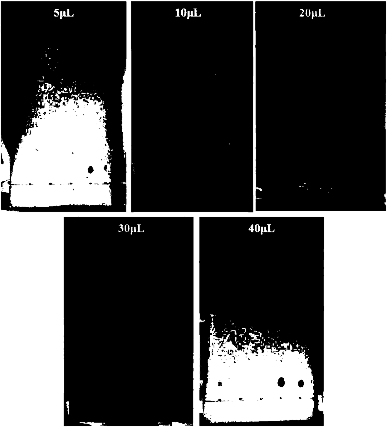 Method for detecting impurity 5-methoxytryptamine in melatonin bulk drug by means of thin layer chromatography