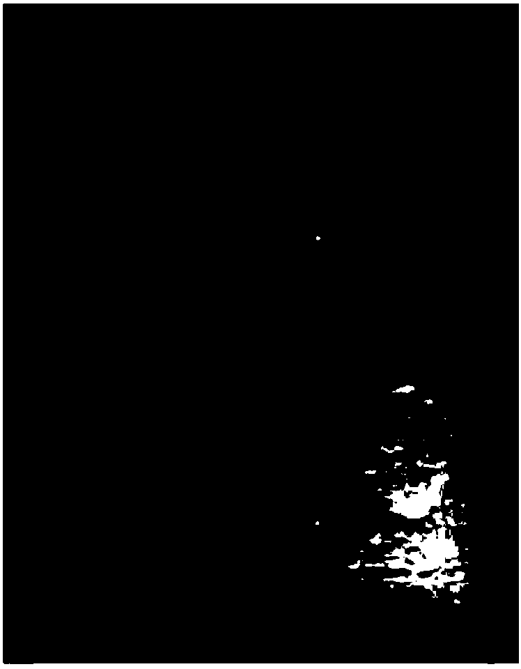 Method for detecting impurity 5-methoxytryptamine in melatonin bulk drug by means of thin layer chromatography