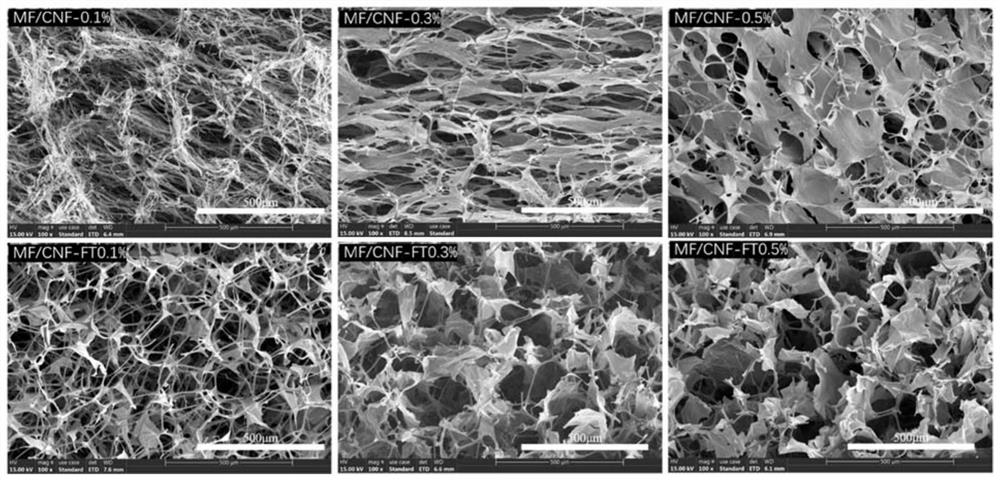 A kind of composite foam with hierarchical porous structure and its preparation method and use