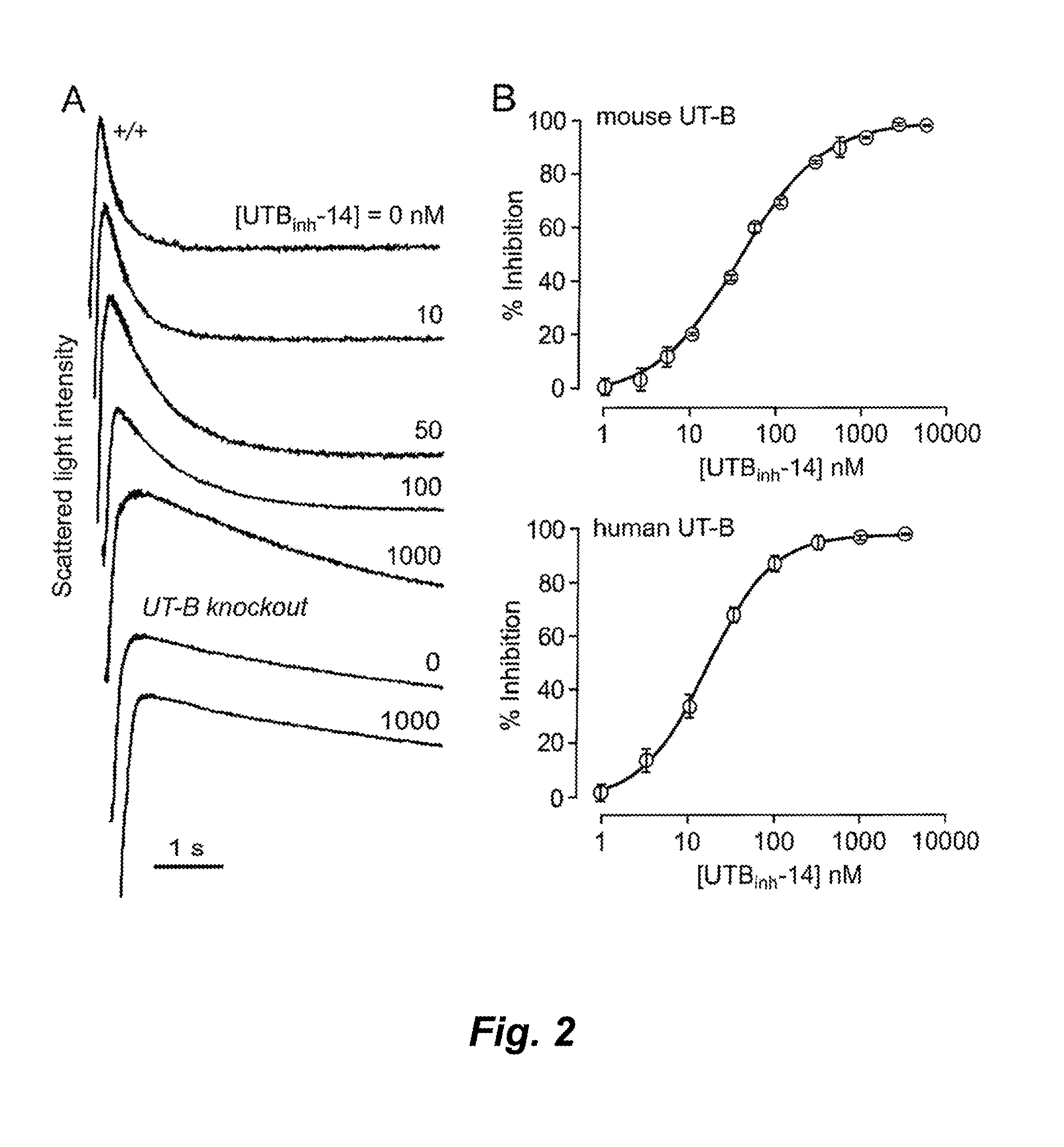 Triazolothienopyrimidine compound inhibitors of urea transporters and methods of using inhibitors