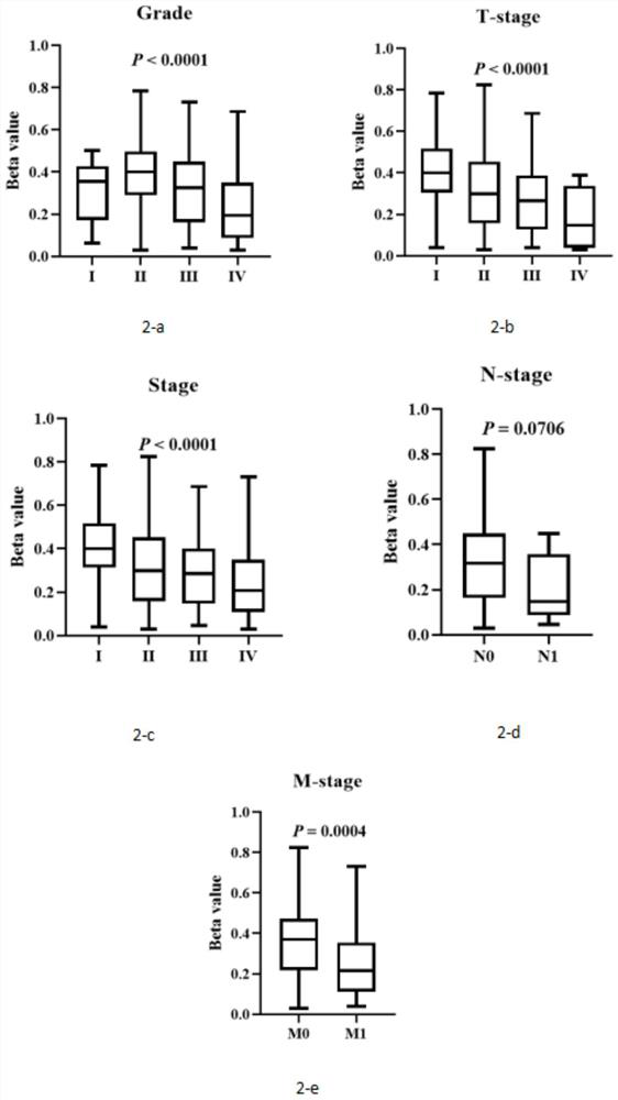 Detection primer composition for NLRP3 promoter methylation, application and detection method