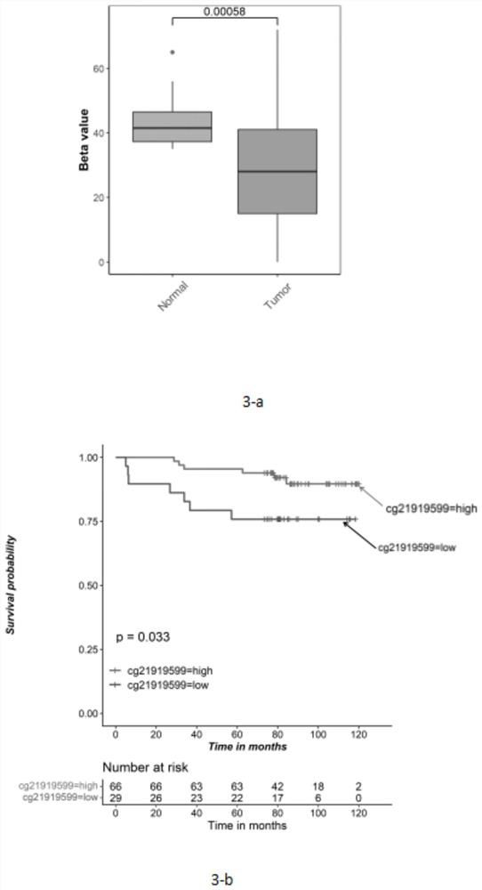 Detection primer composition for NLRP3 promoter methylation, application and detection method