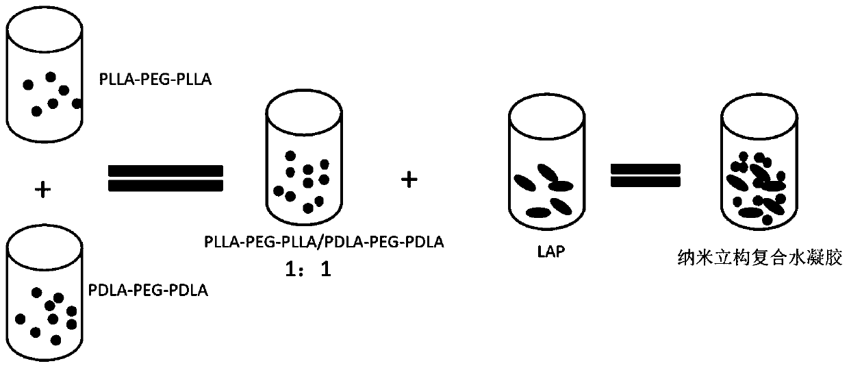 Preparation method of hectorite reinforced polylactic acid-polyethylene glycol-polylactic acid triblock copolymer nano stereocomplex hydrogel