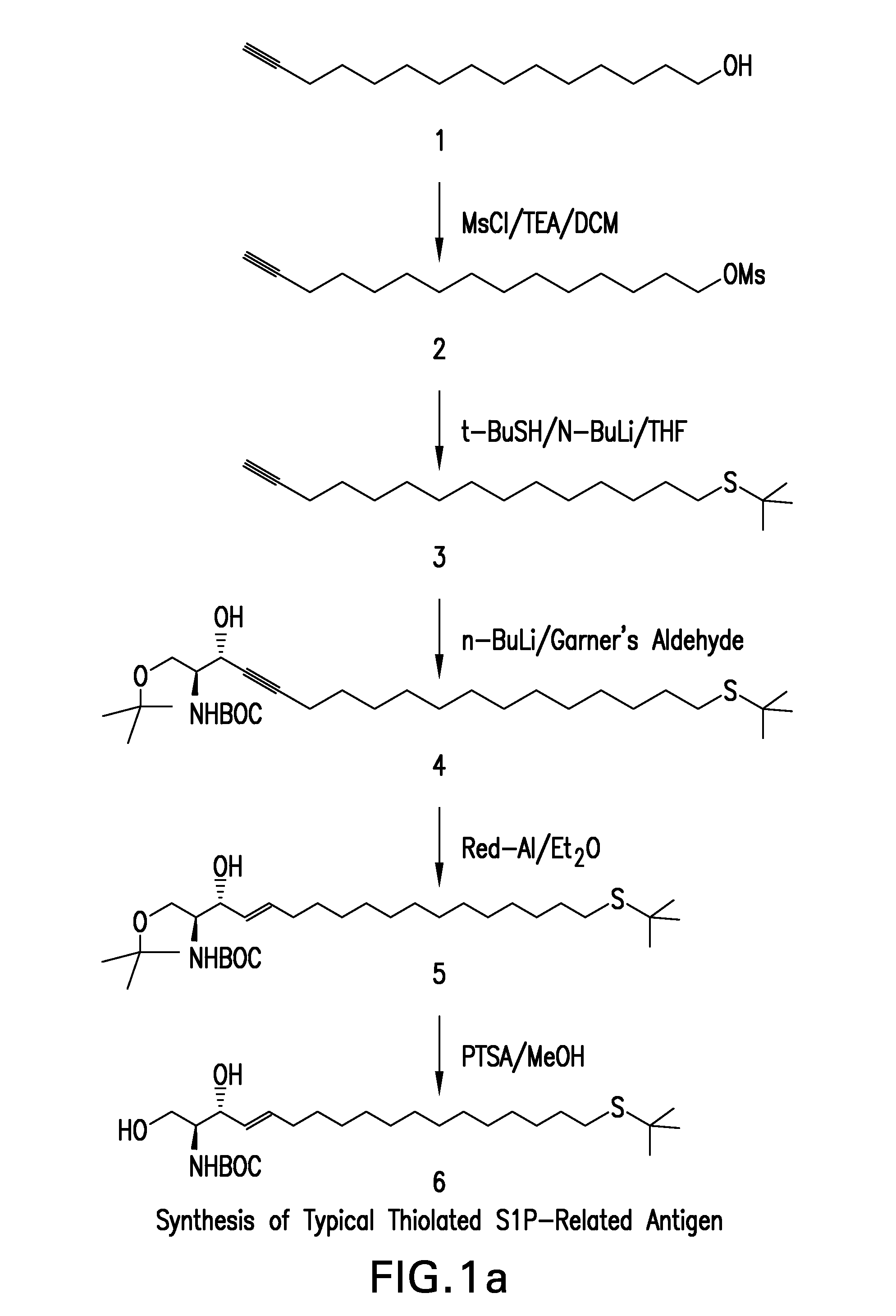 Bioactive lipid derivatives, and methods of making and using same