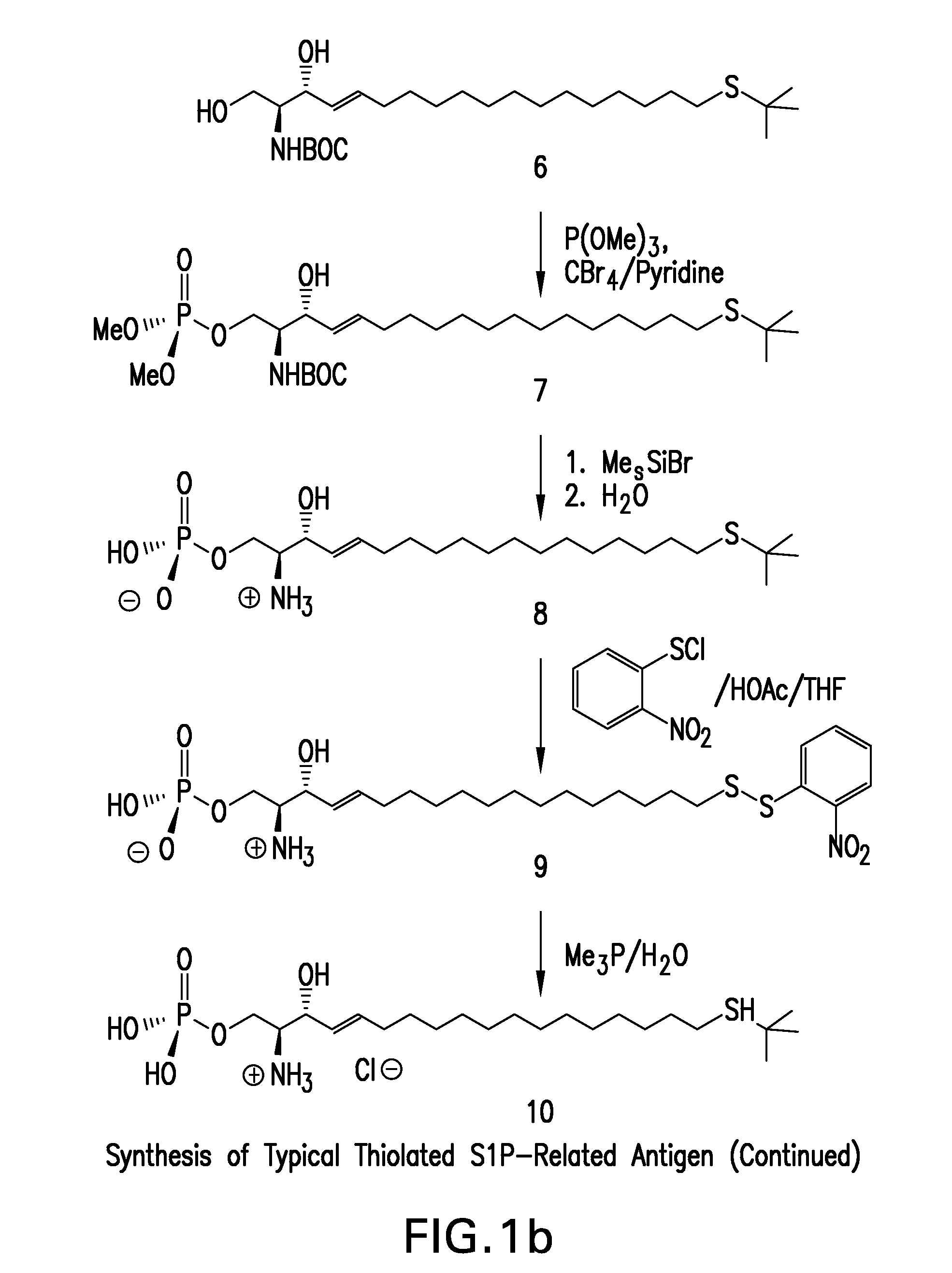 Bioactive lipid derivatives, and methods of making and using same