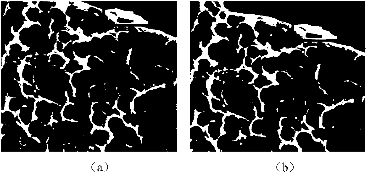 Rapid correction method of scanning electron microscope image drift