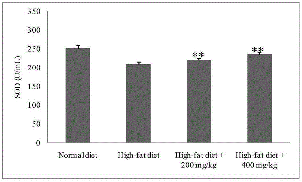 Bambusa textilis leaf extract, preparation method and applications thereof