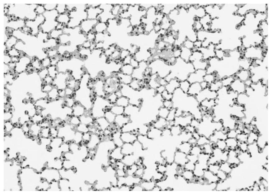 Hydrophobic polysaccharide and its preparation method and application