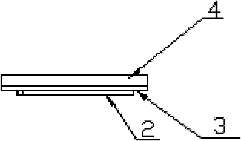 Improved structure of sole of marathon shoe