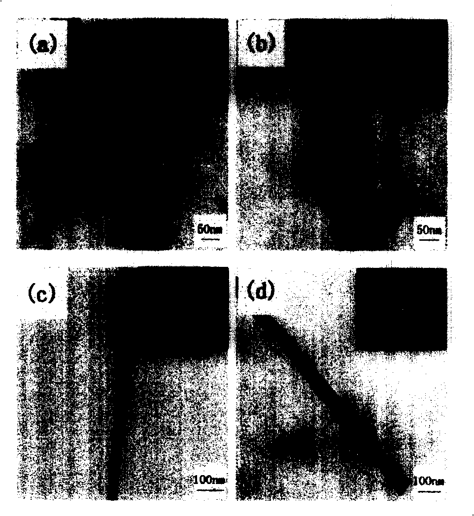 Method for preparing diameter different monocrystal bismuth nanowire microarray by using uniform hole diameter alumina template