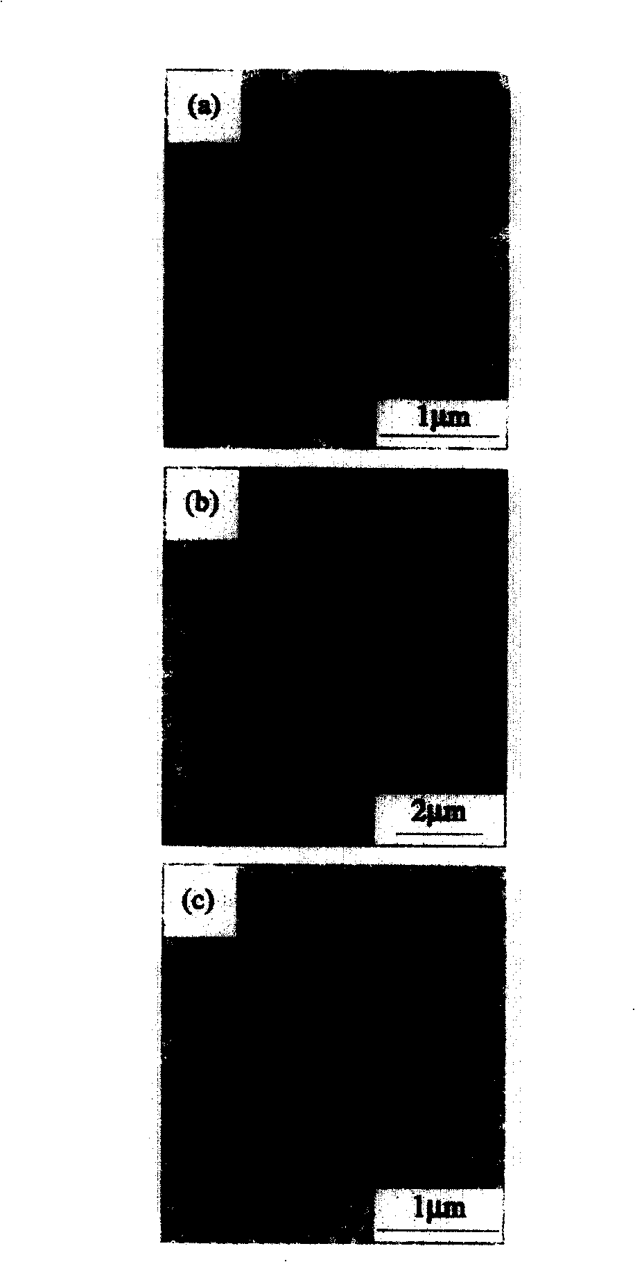 Method for preparing diameter different monocrystal bismuth nanowire microarray by using uniform hole diameter alumina template