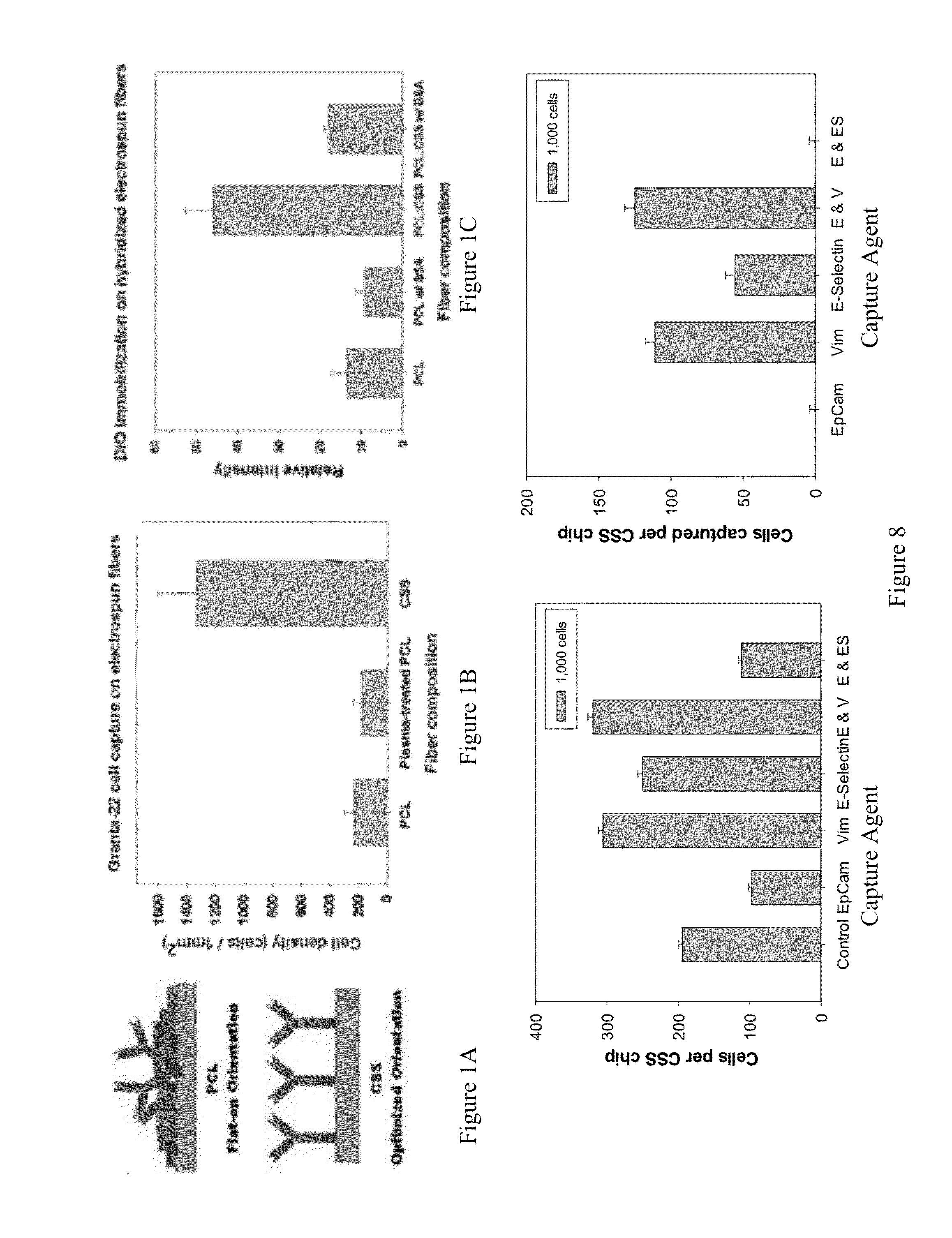 Cholesteryl Succinyl Silane Bound Proteins and Methods For Producing and Using the Same