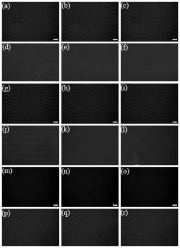 PVP compound with terminal containing dithioester, topological polymer, and preparation methods for PVP compound with terminal containing dithioester and topological polymer