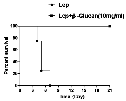 Medical application of beta-glucan in prevention and treatment of leptospirosis