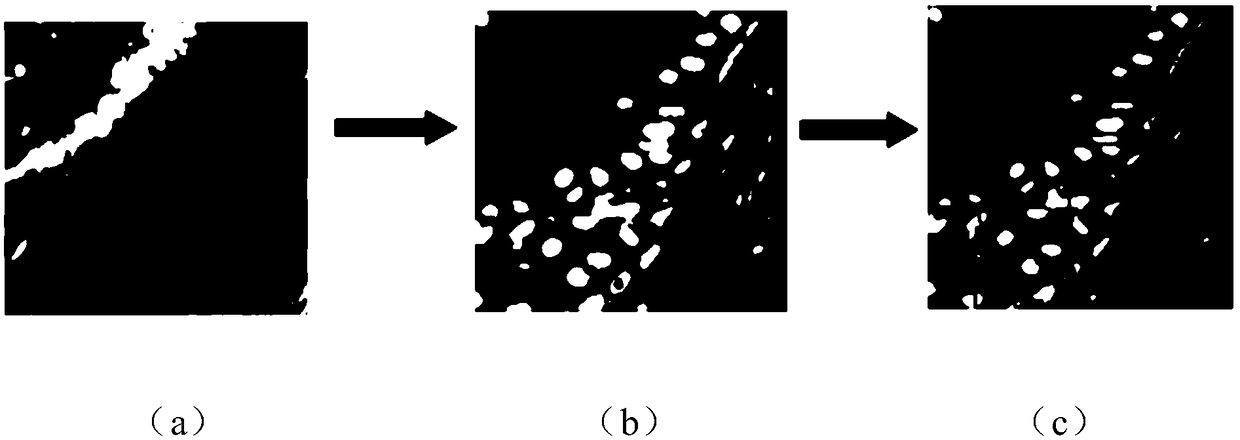 A microscopic image analysis method of a cervical cancer tissue based on a graph theory
