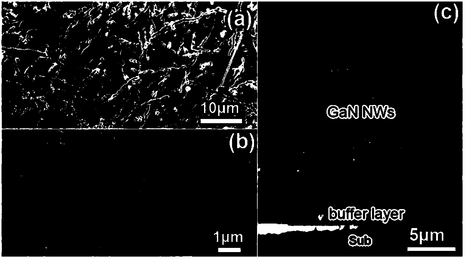 Method for reducing defect density of gallium nitride nanowire array crystal