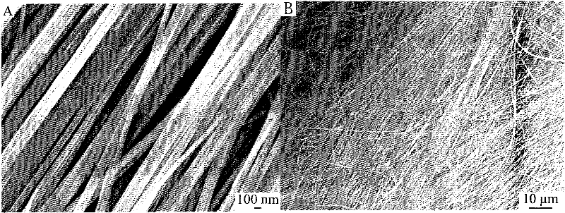Preparation method and application of silver vanadate/vanadium oxide one-dimensional composite nano-electrode material