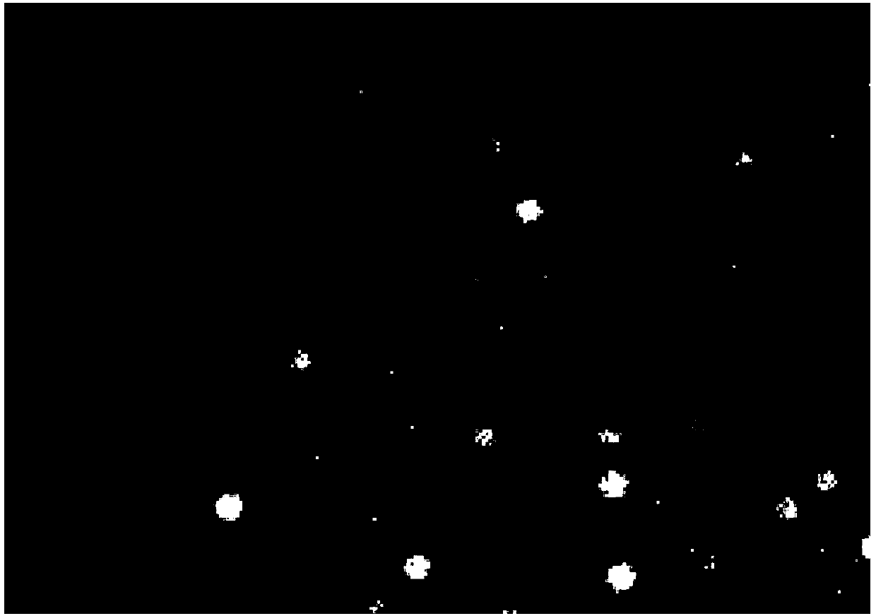 Composition, method and system for determination of digital polymerase chain reaction (PCR)