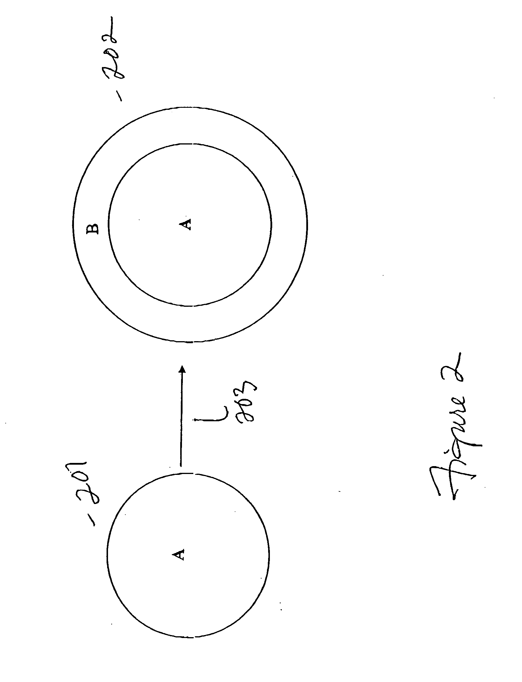 System and method for electronic wallet conversion