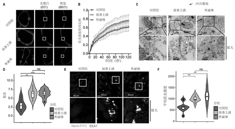 Use of neutrophil gelatinase-associated lipocalin to promote crossing of therapeutic antibodies across blood-brain barrier