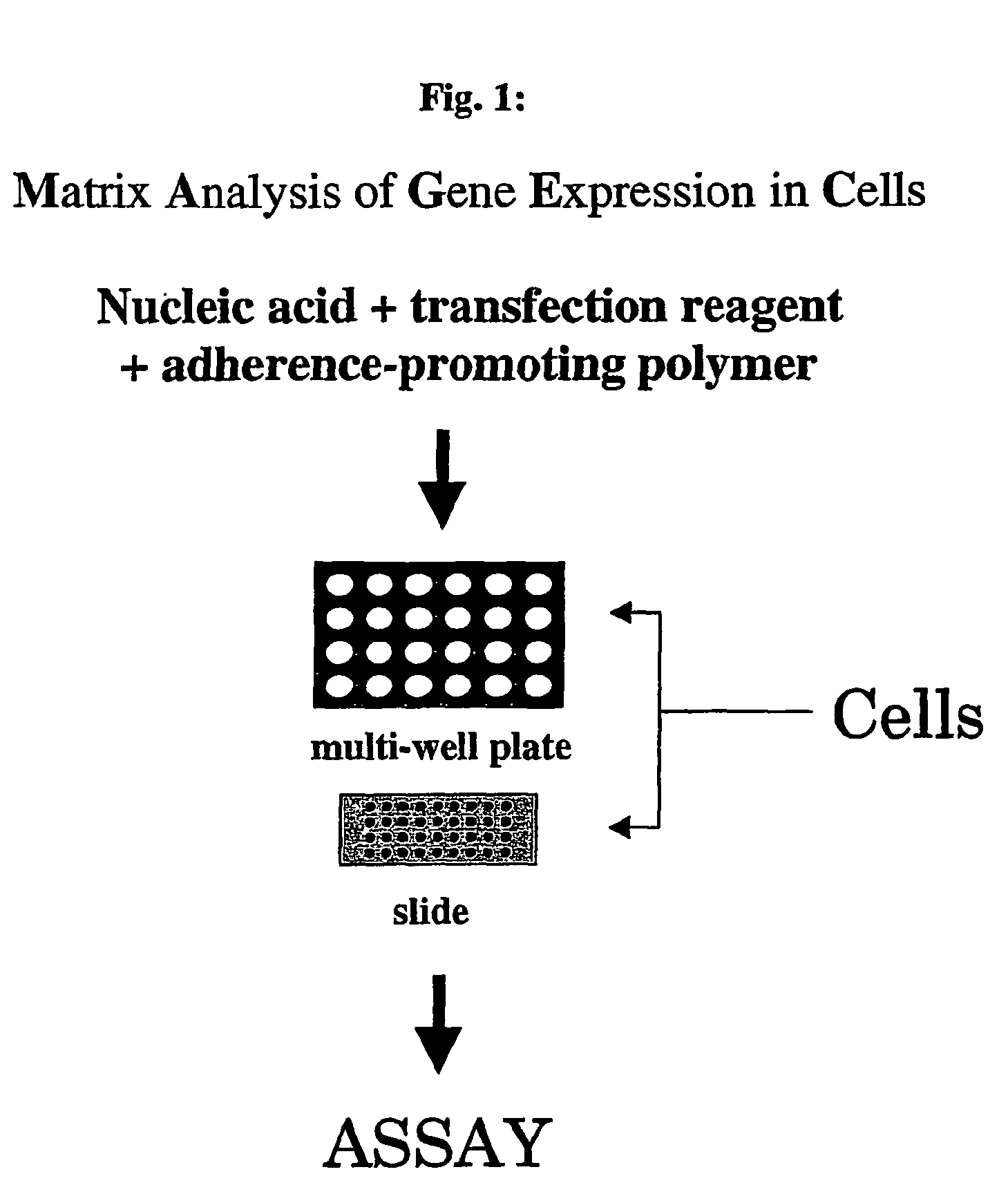 Matrix analysis of gene expression in cells (magec)