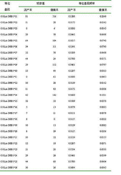 Reagent kit for detecting Hexi Cashmere goat abortion disease resistance allele and application method