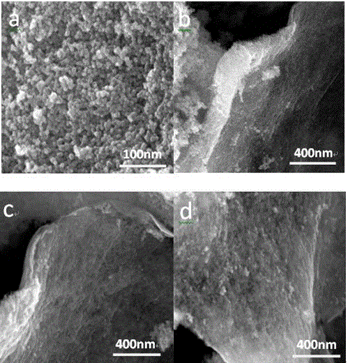 A tio with high-efficiency electrocatalytic oxygen reduction performance  <sub>2</sub> /rgo composites