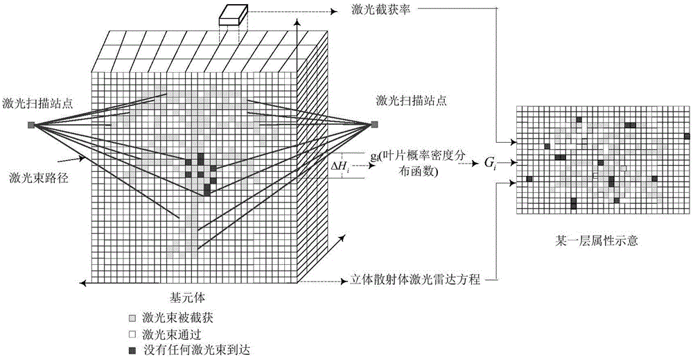 Leaf area vertical distribution information extraction method