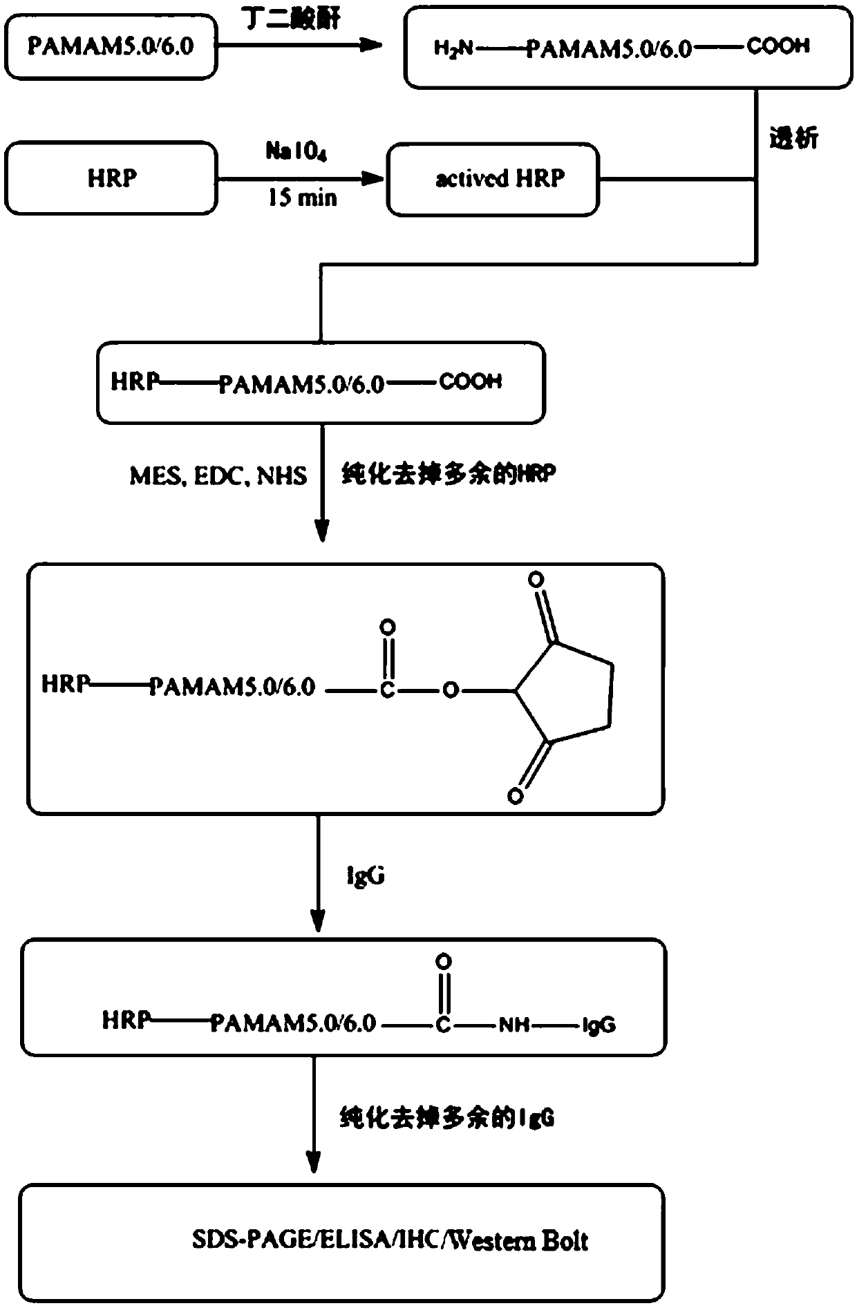 Application of PAMAM in preparation of reagent for immune detection