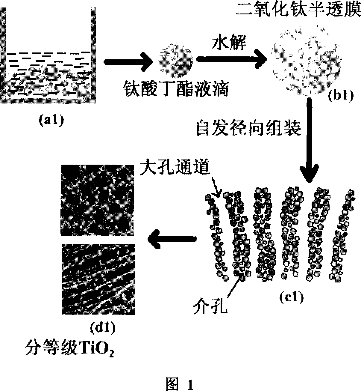 Method without templet of preparing leveled macroporous / mesoporous titanium dioxide catalyze material