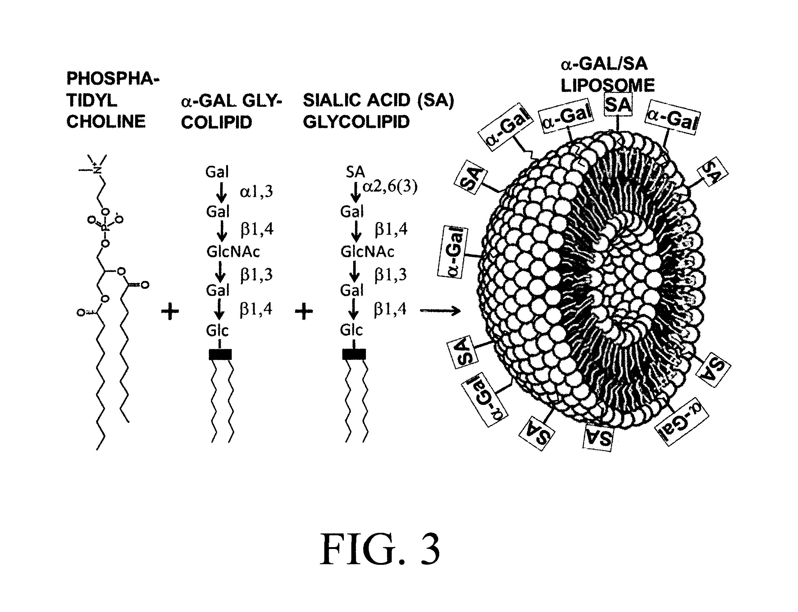 Compositions and methods for treatment of respiratory tract infections