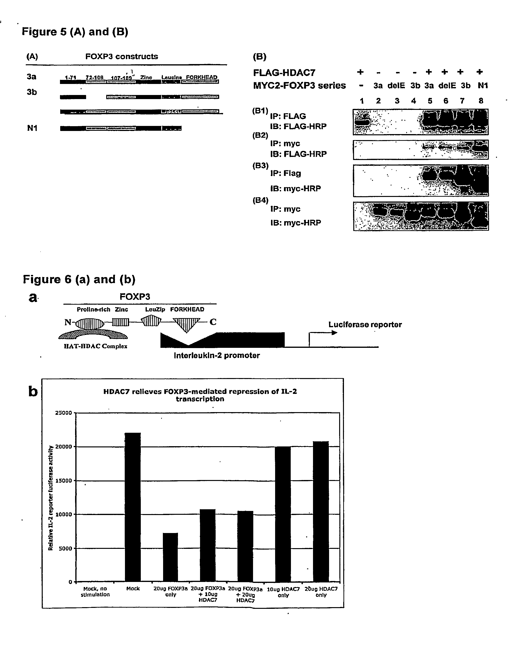 Compositions and methods for modulation of suppressor t cell activation