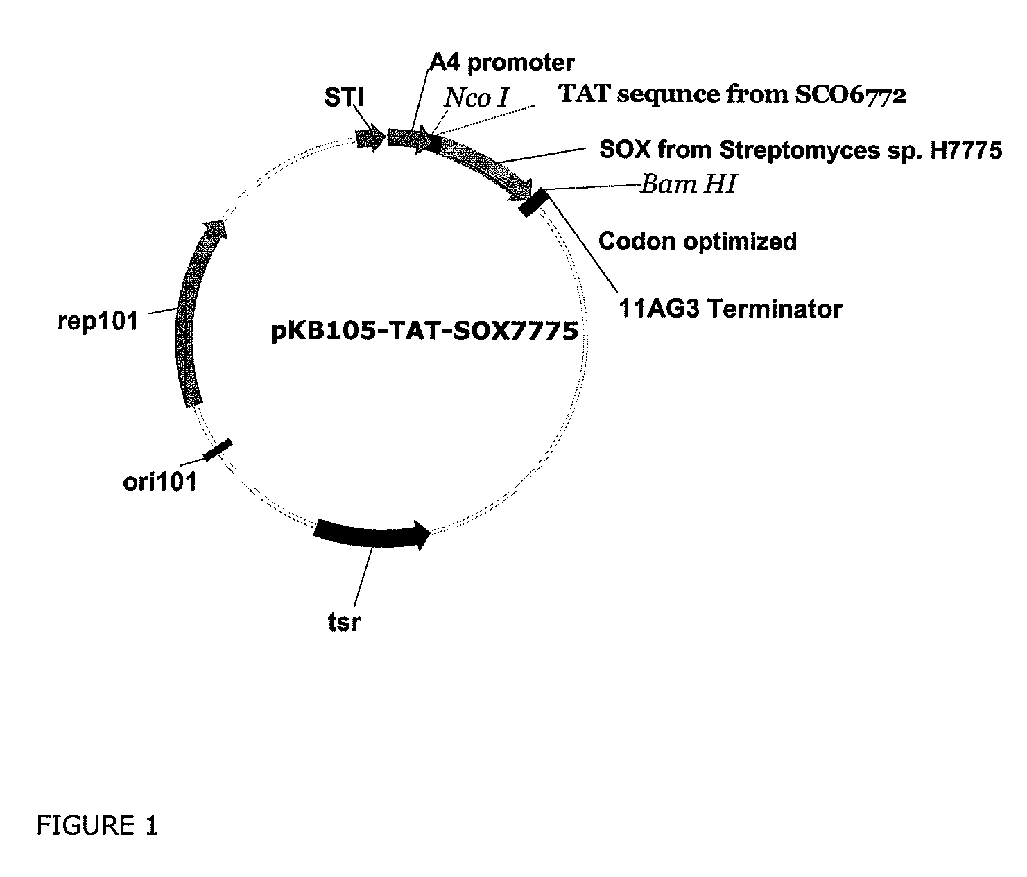 Composition Comprising A Coupled Enzyme System