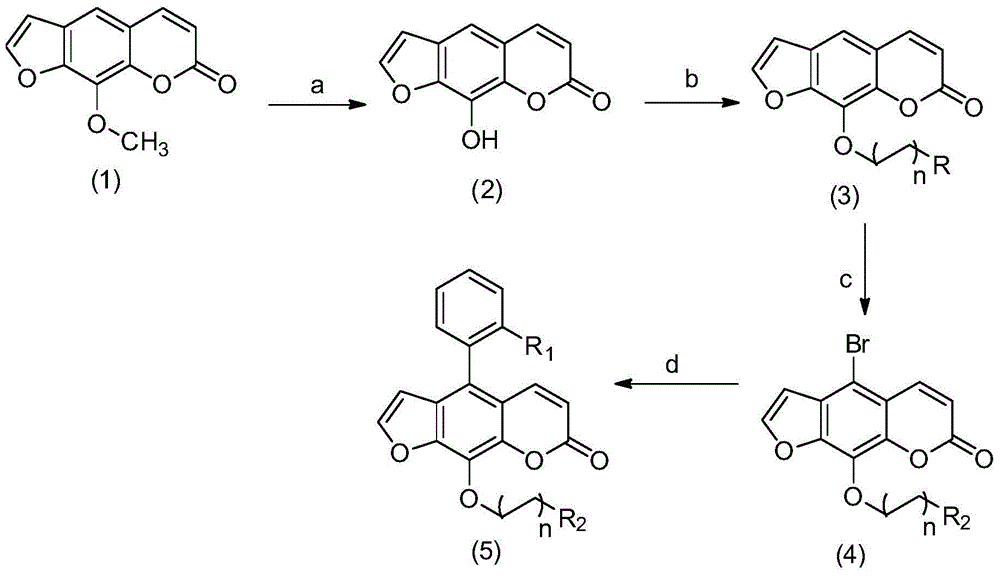 A kind of biphenyl type furanocoumarin compound and its preparation method and application