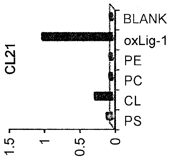 Antibody against calcified globule and use of the same