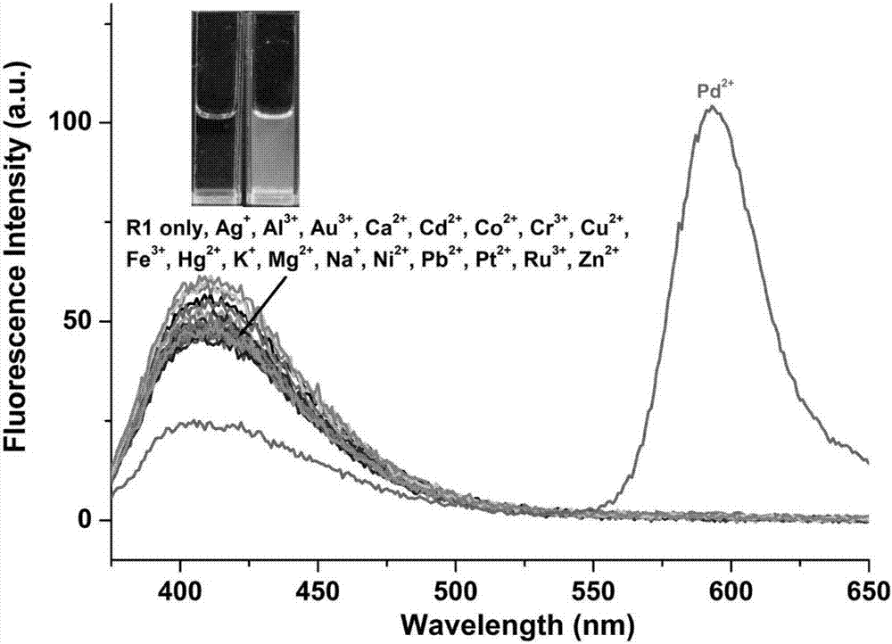 Fluorescent probe based on rhodamine-indole derivative as well as preparation method and application of fluorescent probe