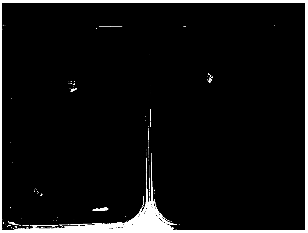 Test method for evaluating function of resisting hand oil sticking of detergent