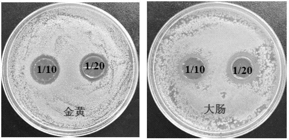 Antibacterial silk fibroin material and preparation method thereof