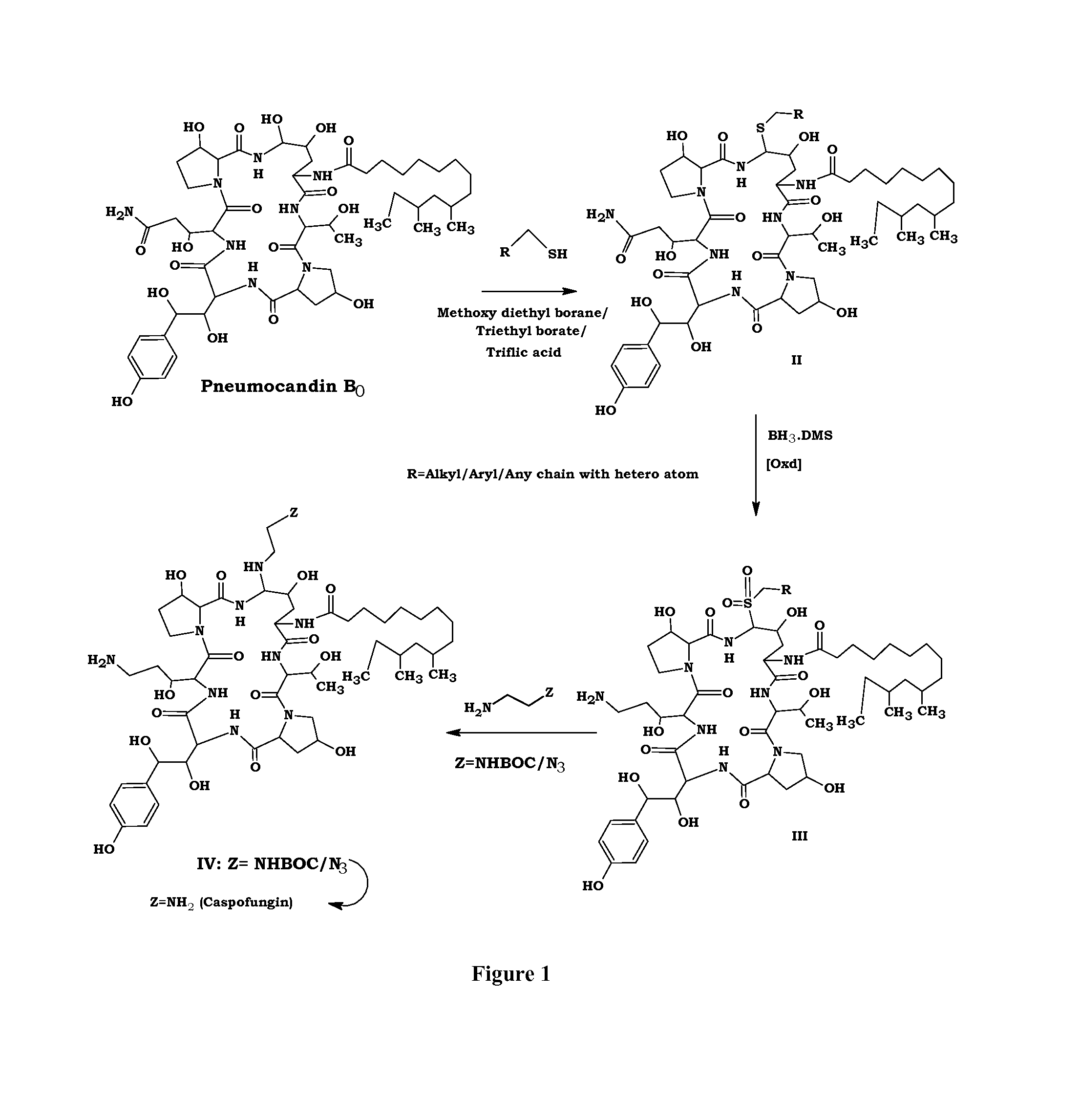 Process for preparation of caspofungin acetate and intermediates