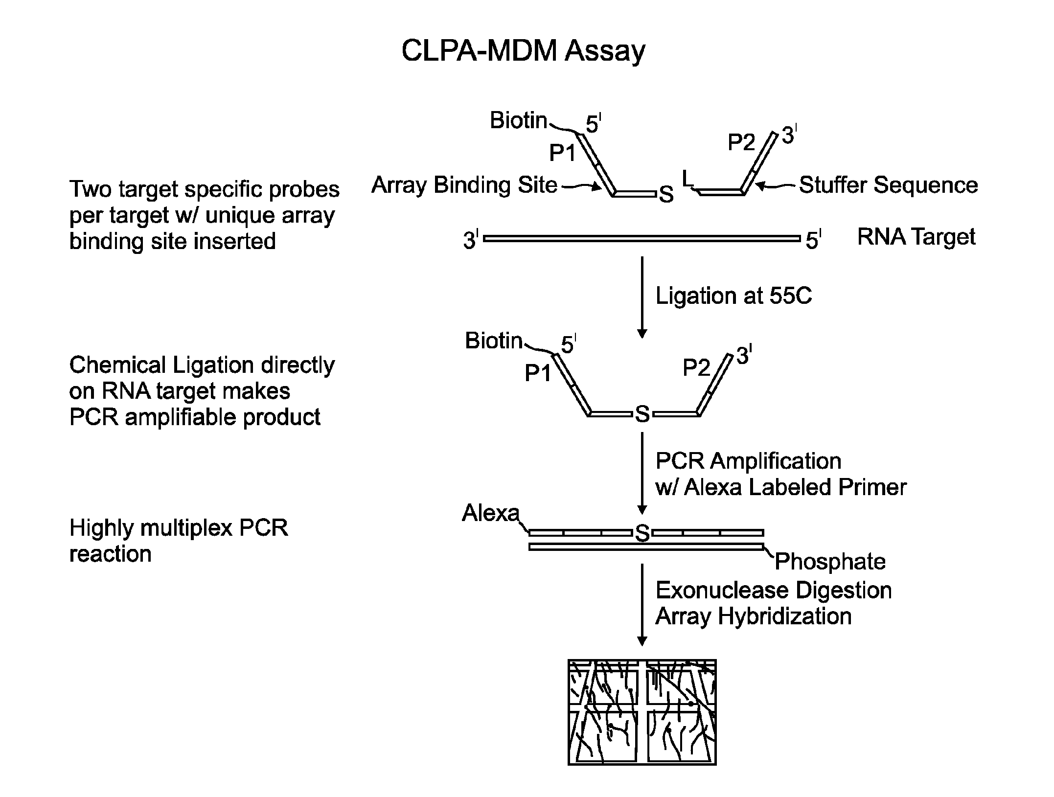 Methods and compositions for detecting target nucleic acids
