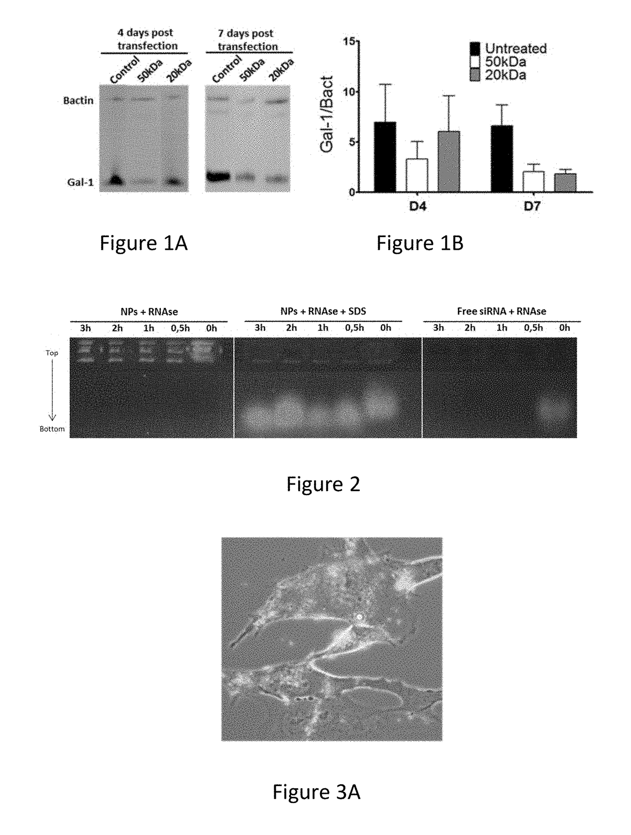 Treatment of central nervous tumours