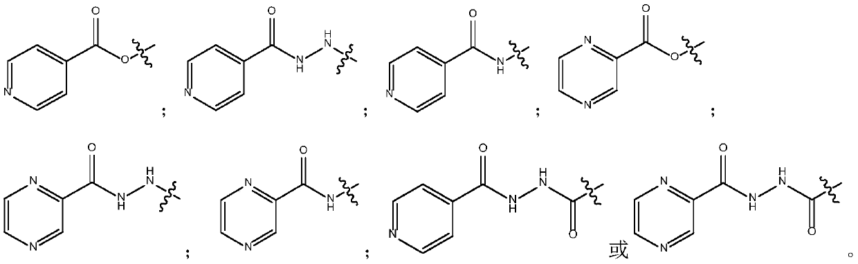 Fluoroquinolone amido derivatives and application thereof