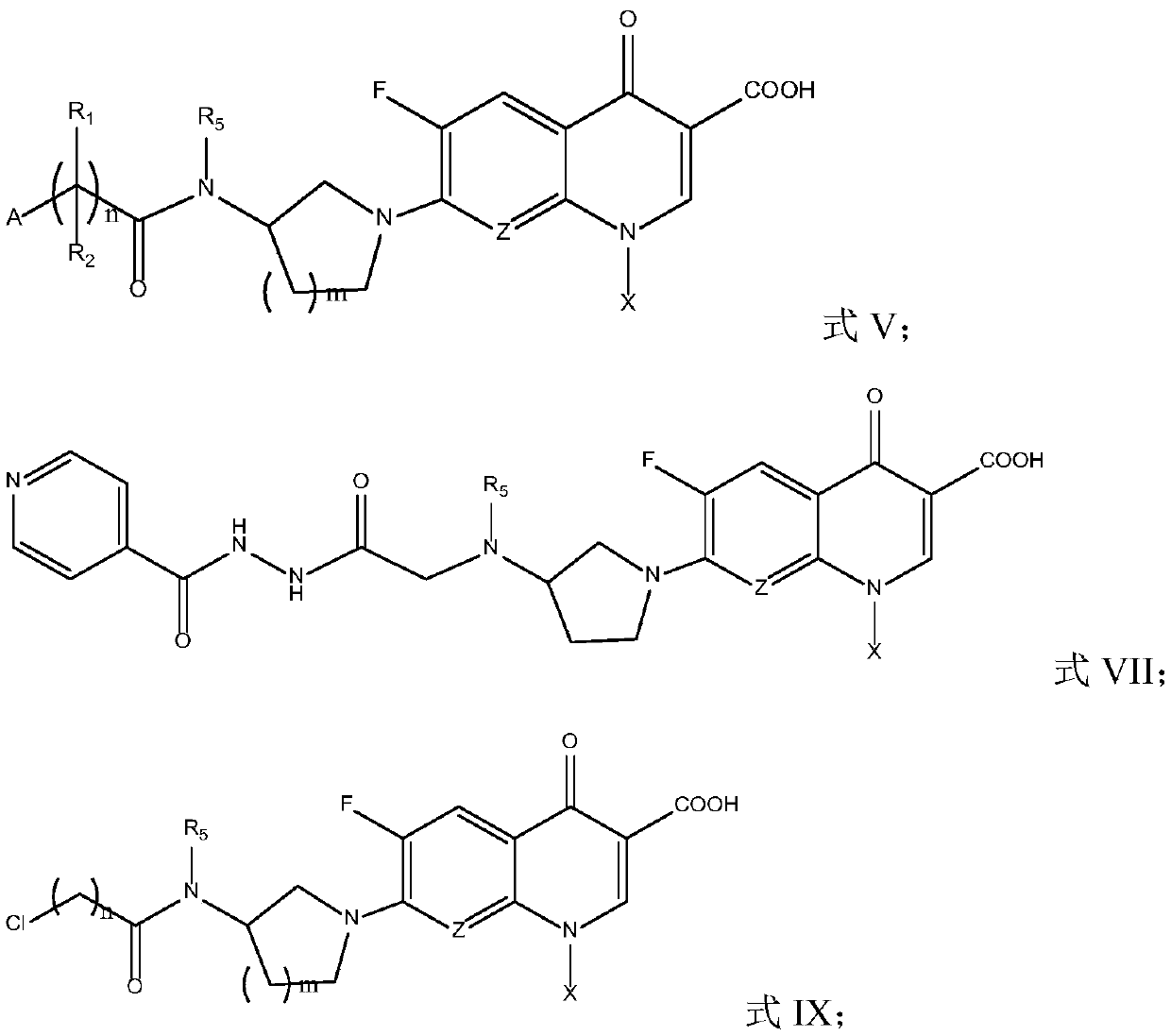 Fluoroquinolone amido derivatives and application thereof