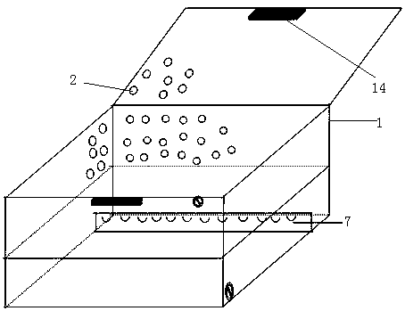 Large-scale breeding of sand crawling worm adults and hatching method of eggs