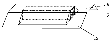 Large-scale breeding of sand crawling worm adults and hatching method of eggs