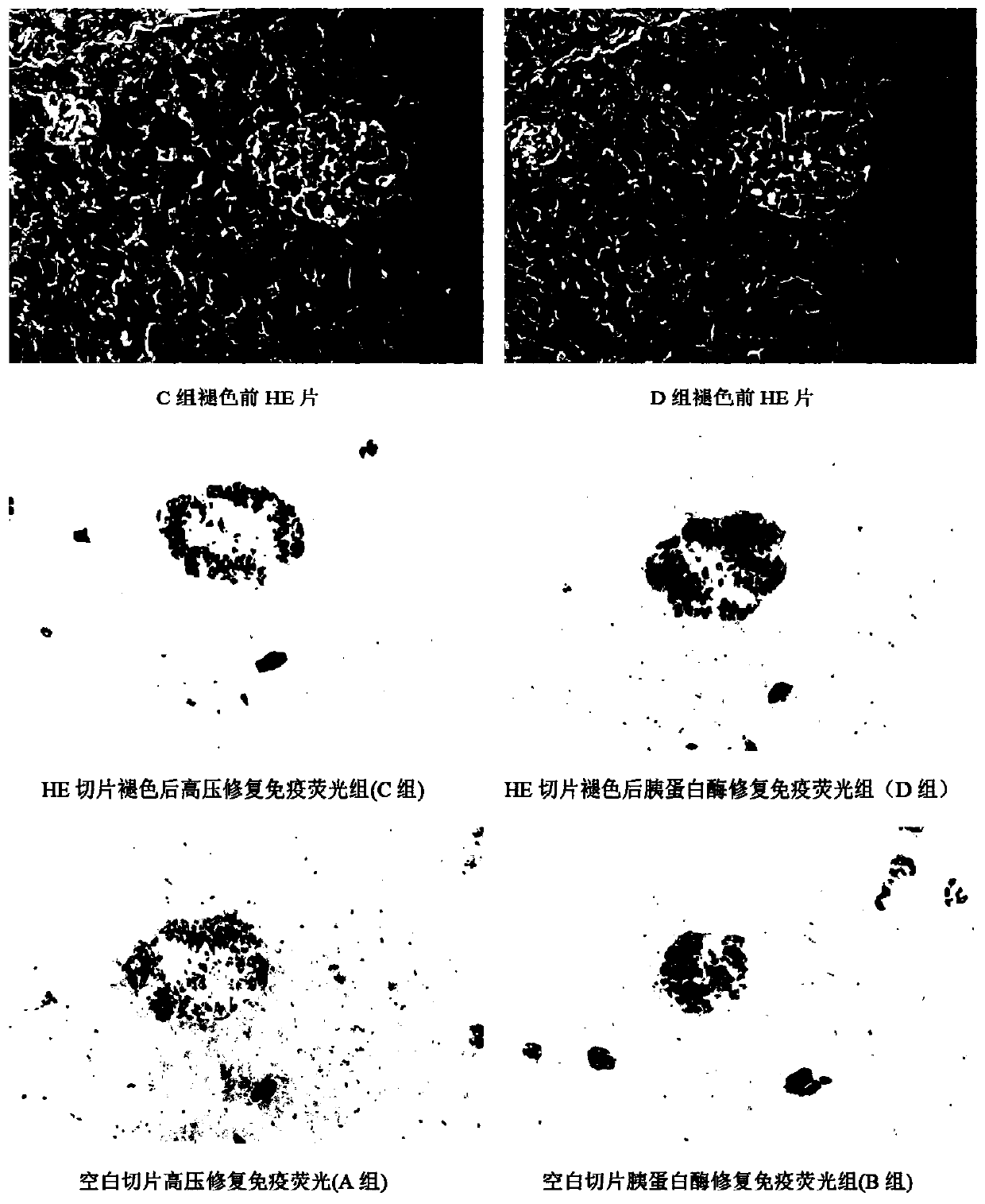 Method for immunofluorescence staining after HE slice fading