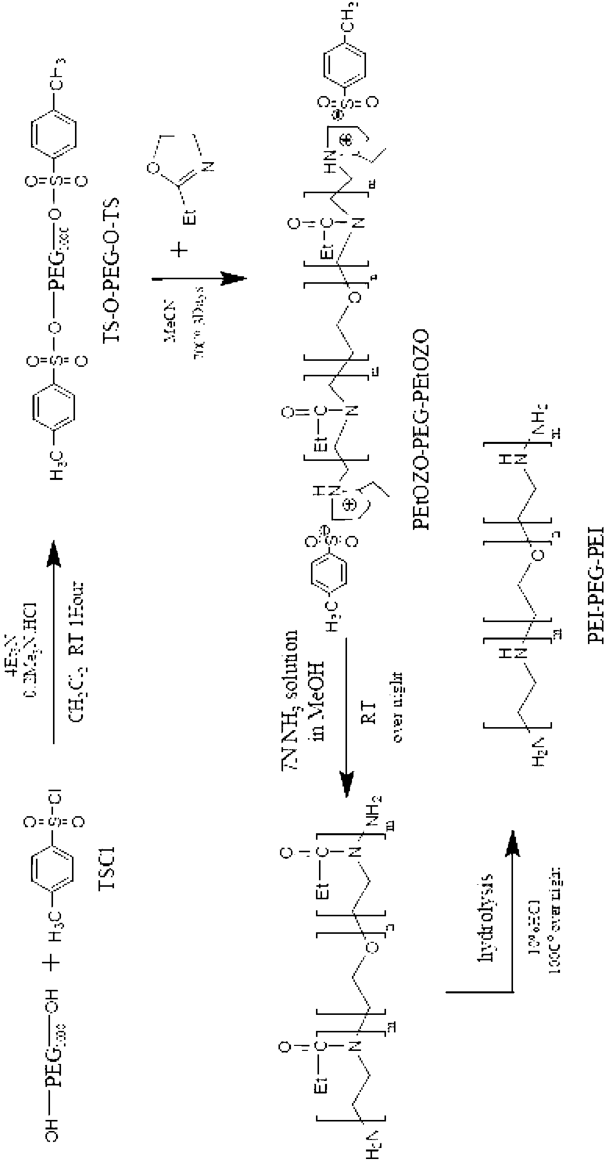 Triblock copolymer polyethyleneimine (PEI)-polyethylene glycol (PEG)-PEI