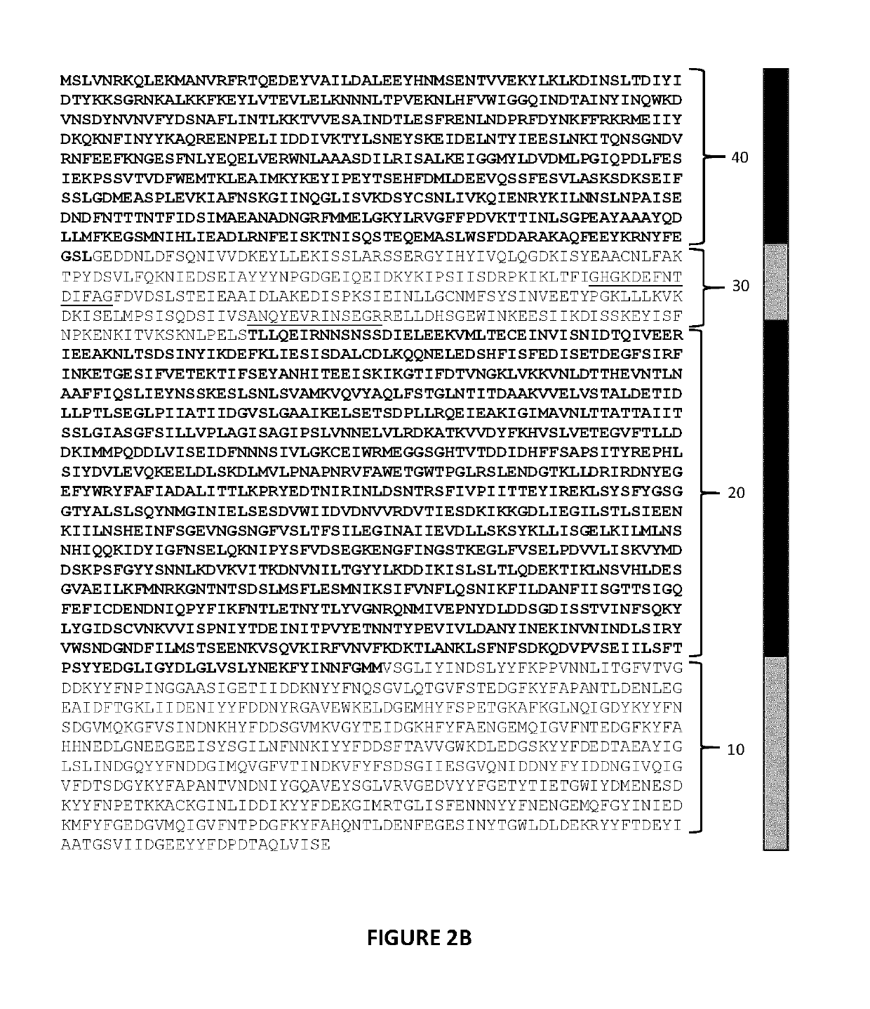 Clostridium difficile toxins a and/or B antigen and epitope antibody, and pharmaceutical uses thereof