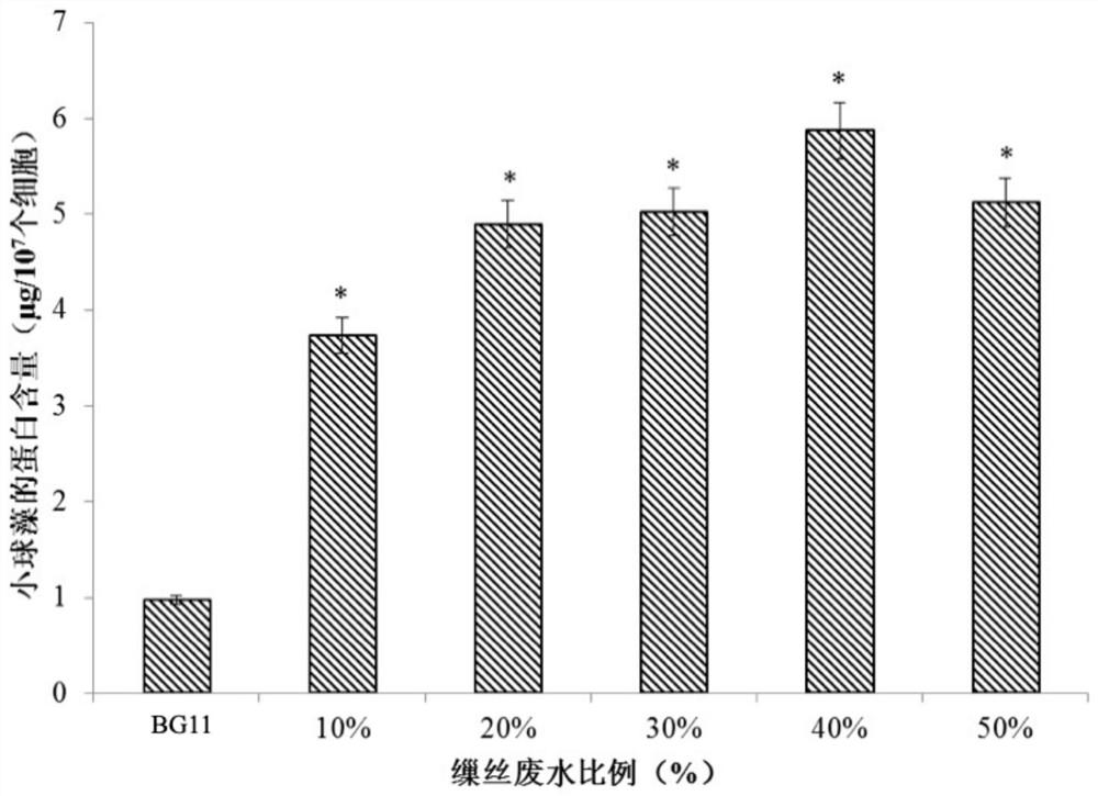 A method for improving the growth rate and protein content of microalgae by using silk reeling wastewater